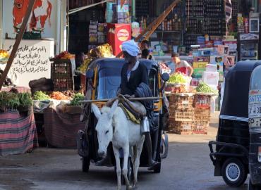 marché populaire de Daraw