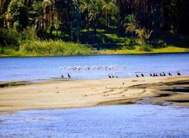 Les Pyramides et le Nil en dahabieh - Assouan