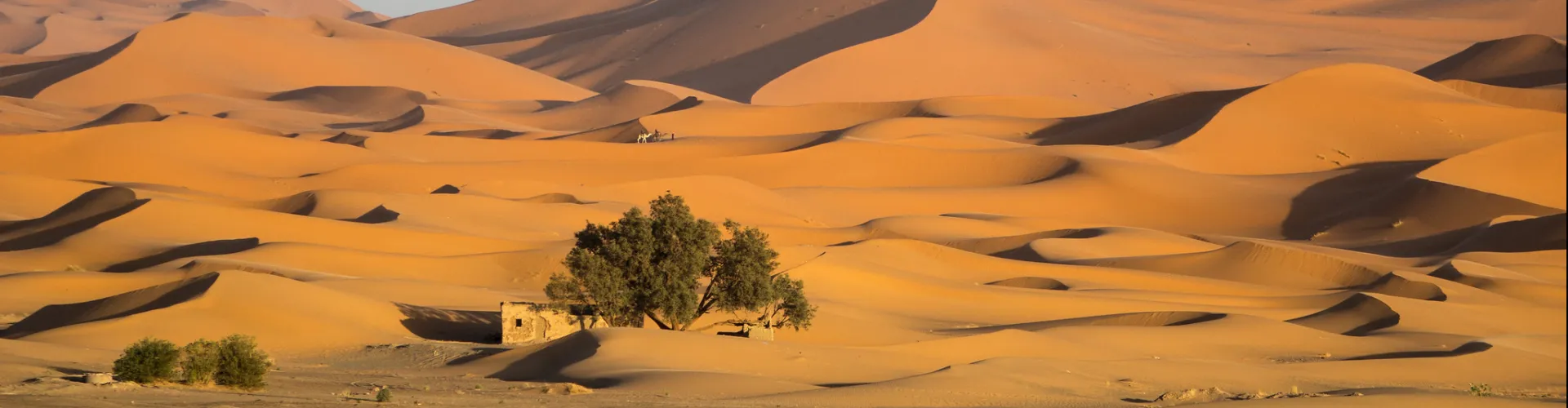 LA ROUTE DES 1000 KASBAH ET DESERT DE MERZOUGA