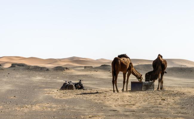 TINEGHIR - MERZOUGA